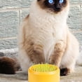 thumbnail image 2 of Cat Catnip Plants Box Hydroponic Planting Box Soilless Catnip Planting Box Catnip Box, 2 of 6