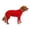 Red, variant on Clearance Dog Recovery Suit Abdominal Wound Protector Puppy Medical Surgical Clothes Post-Operative Vest Pet After Surgery Wear Substitute E-Collar & Cone