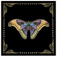 thumbnail image 1 of Great BIG Canvas | "Cloisonne Butterfly" Art Print - 20x20, 1 of 4