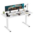thumbnail image 1 of Intexca 1.6m Electric Standing Desk, Adjustable Height, Ultra-Quiet Motor (White), 1 of 5