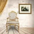 thumbnail image 3 of Audubon, John James 14x11 Gold Ornate Wood Framed with Double Matting Museum Art Print Titled - Purple Heron, 3 of 4