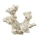 thumbnail image 3 of Anémona Decorativa para Acuario, Nido, Figura Decorativa para Acuario, Refugio para Peces, Cueva de Cría, Escondite para Cría en Acuario Estilo C, 3 of 7