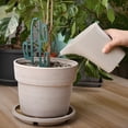 thumbnail image 3 of Angled Watering Can Narrow Spout Watering Cup Lightweight Watering Pitcher Watering Pot for Precise Pouring Hydration Tool for Succulents Herbs Flowers Balcony Garden(Gray), 3 of 4