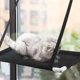 thumbnail image 4 of Percha para Ventana para Gatos Hamaca para Gatos Percha para Hamaca con Ventana para Gatos Mejorada con 4 ventosas de Alta Resistencia Cama Colgante para Mascotas para Tomar el Sol, 4 of 5