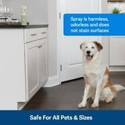 PetSafe SSSCAT Spray Replacement Can Only for Dogs and Cats, Training Repellent Refill