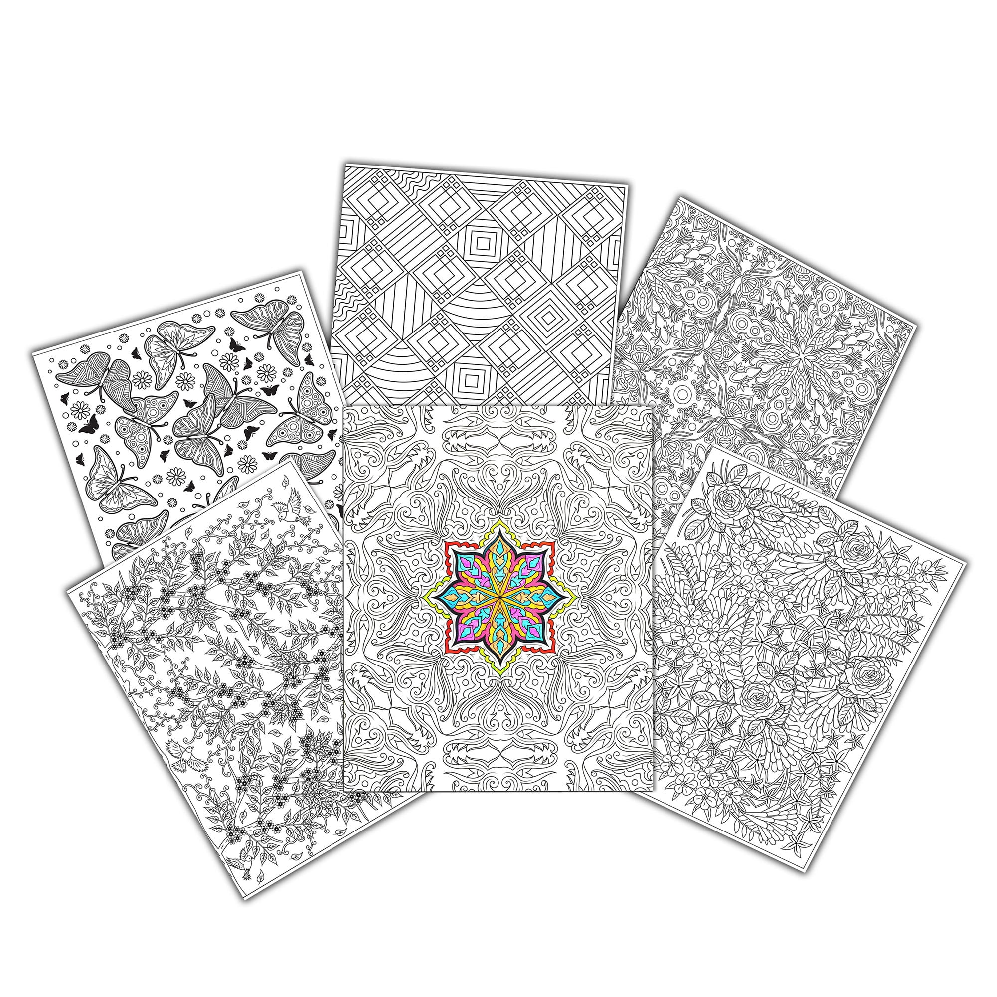 C-line UColor Two-Pocket Coloring Folders, Adult Coloring Patterns, 6/PK (Set of 12 PK)