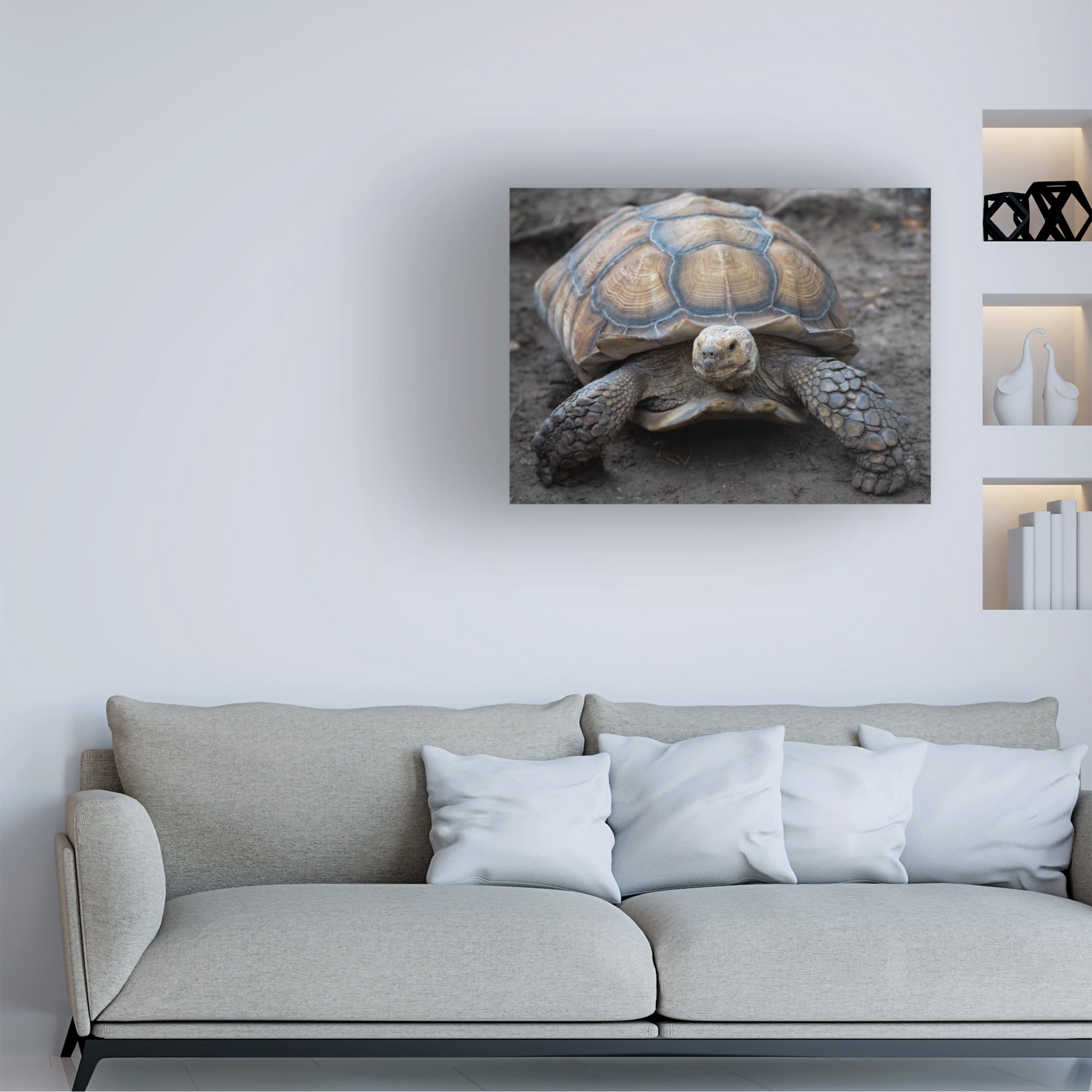 Robert Michaud 'Aldabra Tortoise' Canvas Art