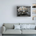 thumbnail image 3 of Robert Michaud 'Aldabra Tortoise' Canvas Art, 3 of 4