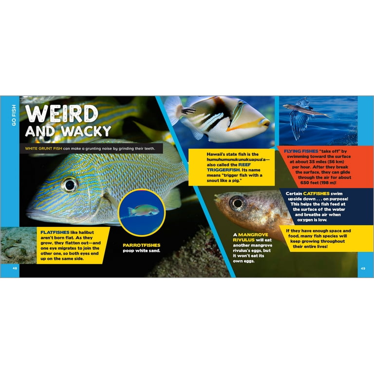 Fascinating Facts: The Fascinating Ocean Book for Kids : 500