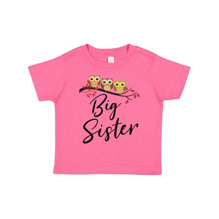 

Inktastic Owl Big Sister Gift Toddler Toddler Girl T-Shirt