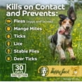 thumbnail image 4 of Happy Jack Kennel Dip Dog Flea & Tick Treatment, 4 oz Concentrate, Dip Spray or Sponge-On Formula for Dogs 12 Weeks and Older, 4 of 7