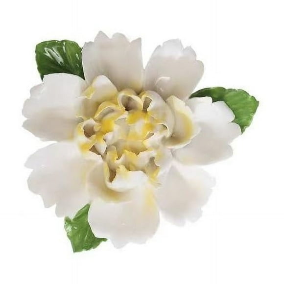Peony Flower Bud