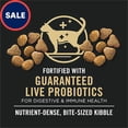 thumbnail image 2 of Purina Pro Plan 7+ Complete Essentials Chicken and Rice Formula Dry Senior Cat Food 14 lbs., 2 of 2
