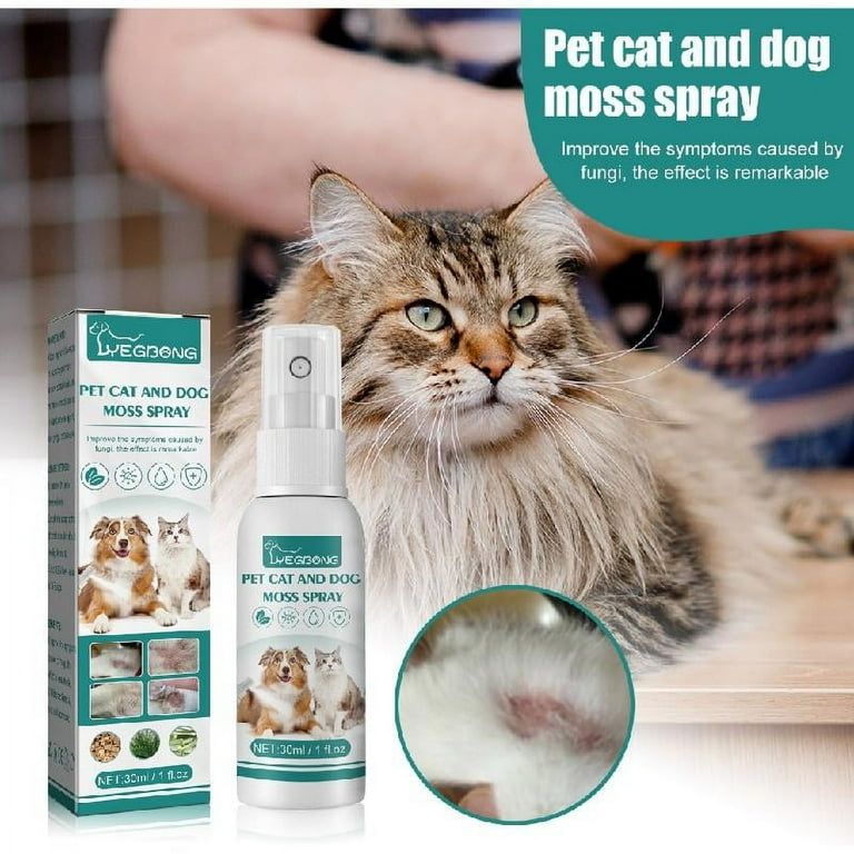 Cat Scabies Treatment corona.dothome.co.kr