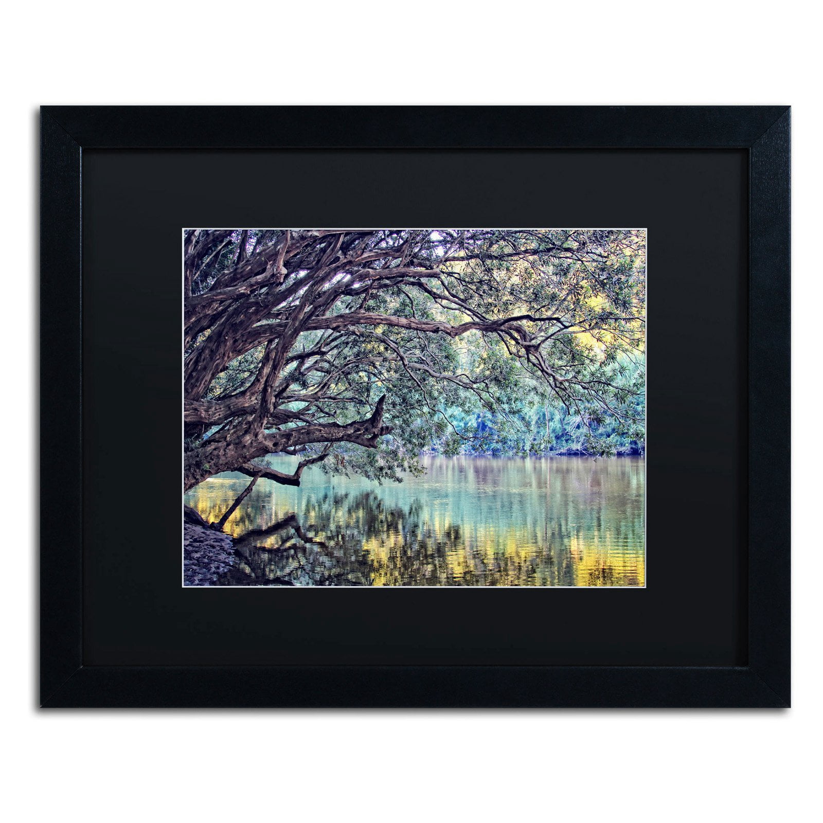 Trademark Fine Art "A Place to Dream" Canvas Art by Beata Czyzowska Young, White Matte, Black Frame