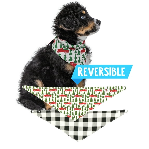 LazyOne Reversible Dog Bandana, Cute Accessories for Pets, Truck,Tree (X-Small/Small, Tailgate)