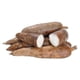 thumbnail image 1 of Fresh Whole Yuca Root Cassava Manioc Mandioca (5lb), 1 of 2