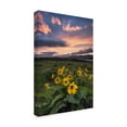 thumbnail image 2 of Trademark Fine Art 'Sunset at the Gorge' Canvas Art by Danny Head, 2 of 4