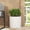 Antique White, variant on Lightweight Concrete Planter 16.5 Inch, Antique White MGO Planter for Patio, Garden & Backyard Decor, Durable Cast Stone with Pleated Design