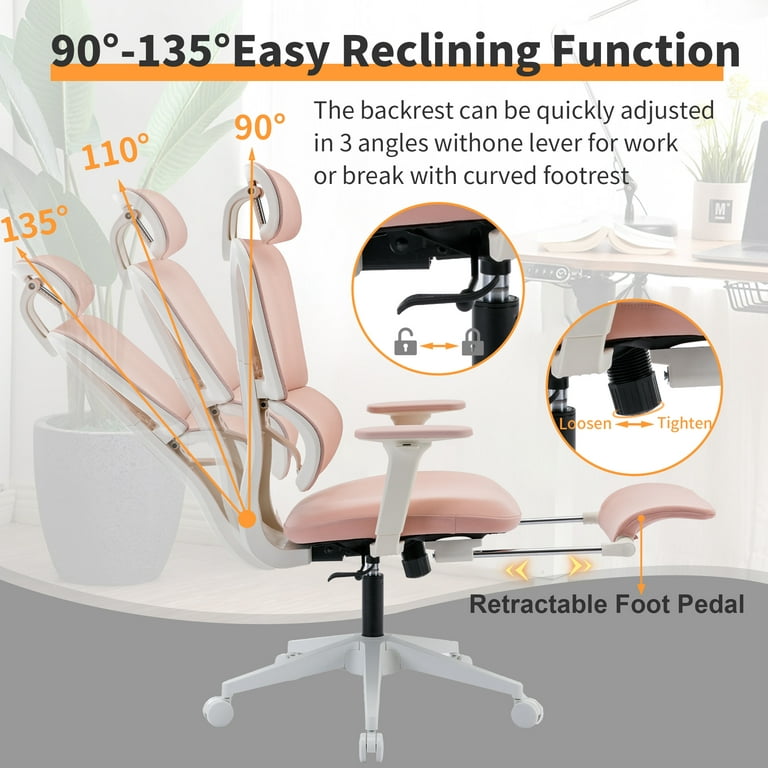HForesty Home Office Chair - Executive Office Chair Adjustable Computer  Desk Chair with Lumbar Support, Padded Armrest, Comfy Cushion Seat for  Work