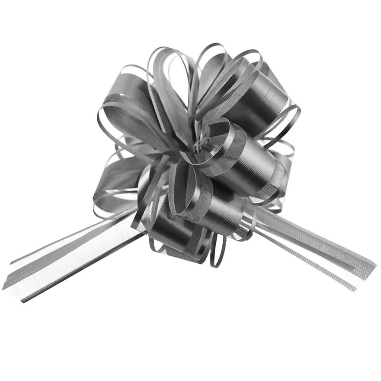 Ribbon Bow And Snow
