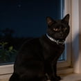 thumbnail image 3 of Outdor Reflective Adjustable Collar For Small Medium And Cats Neck Band, 3 of 5