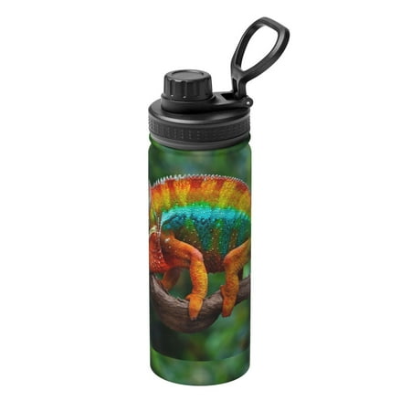 

Goofa Chameleon Print 18oz Sports Insulated Kettle With Straw Water Bottle Sports Water Bottle For Running Hiking Cycling Climbing Mans Womans