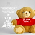 thumbnail image 4 of Deluxe Paws Eco Plush Special Occasions, 100% Recycled (Thank You), 4 of 9