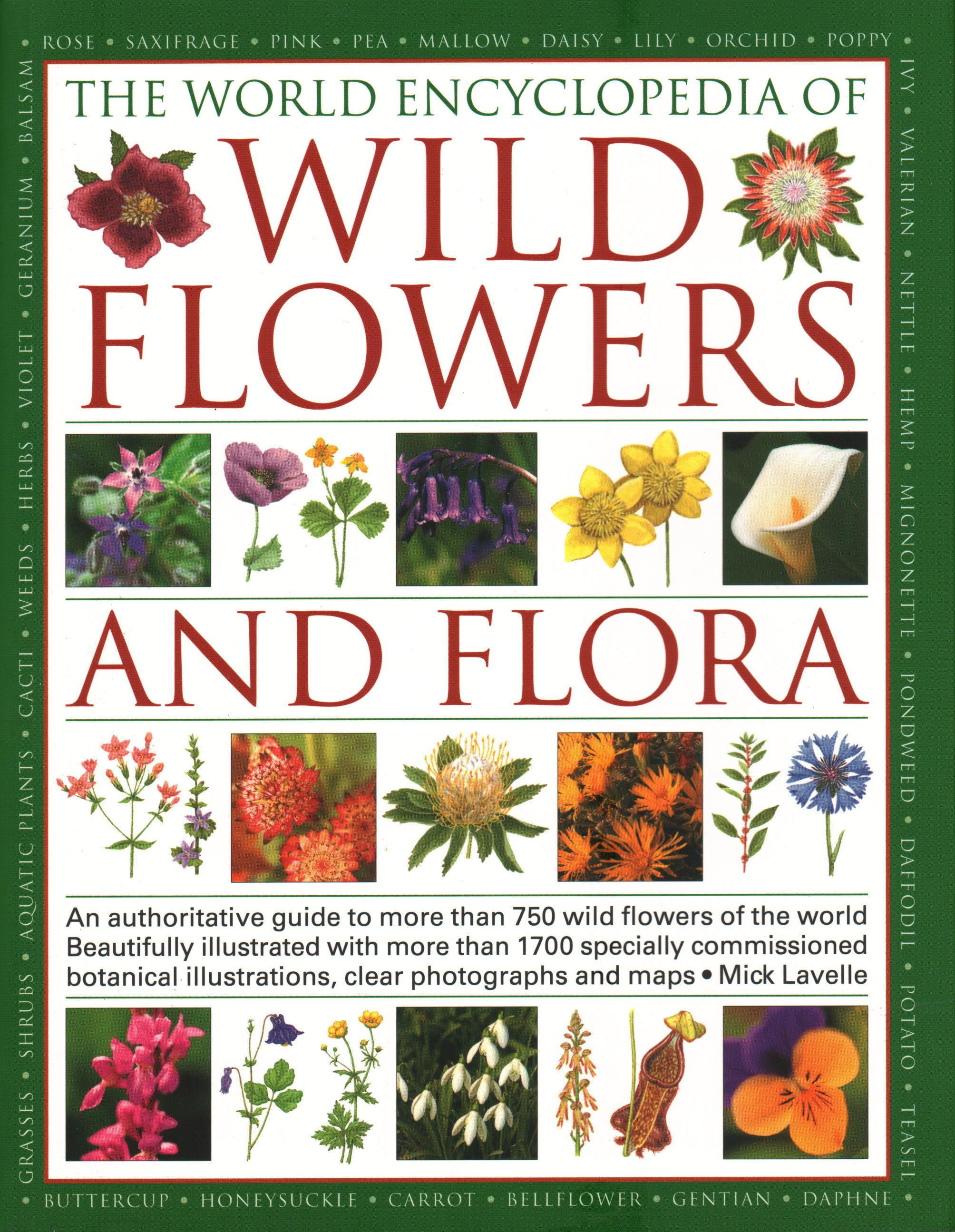The World Encyclopedia of Wild Flowers & Flora (Paperback)