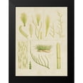 thumbnail image 2 of Vision Studio 12x14 Black Modern Framed Museum Art Print Titled - Vintage Sea Grass VI, 2 of 5