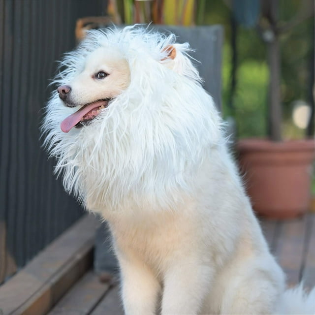 Peluca con melena de león Onmygogo para perros, talla L, blanca