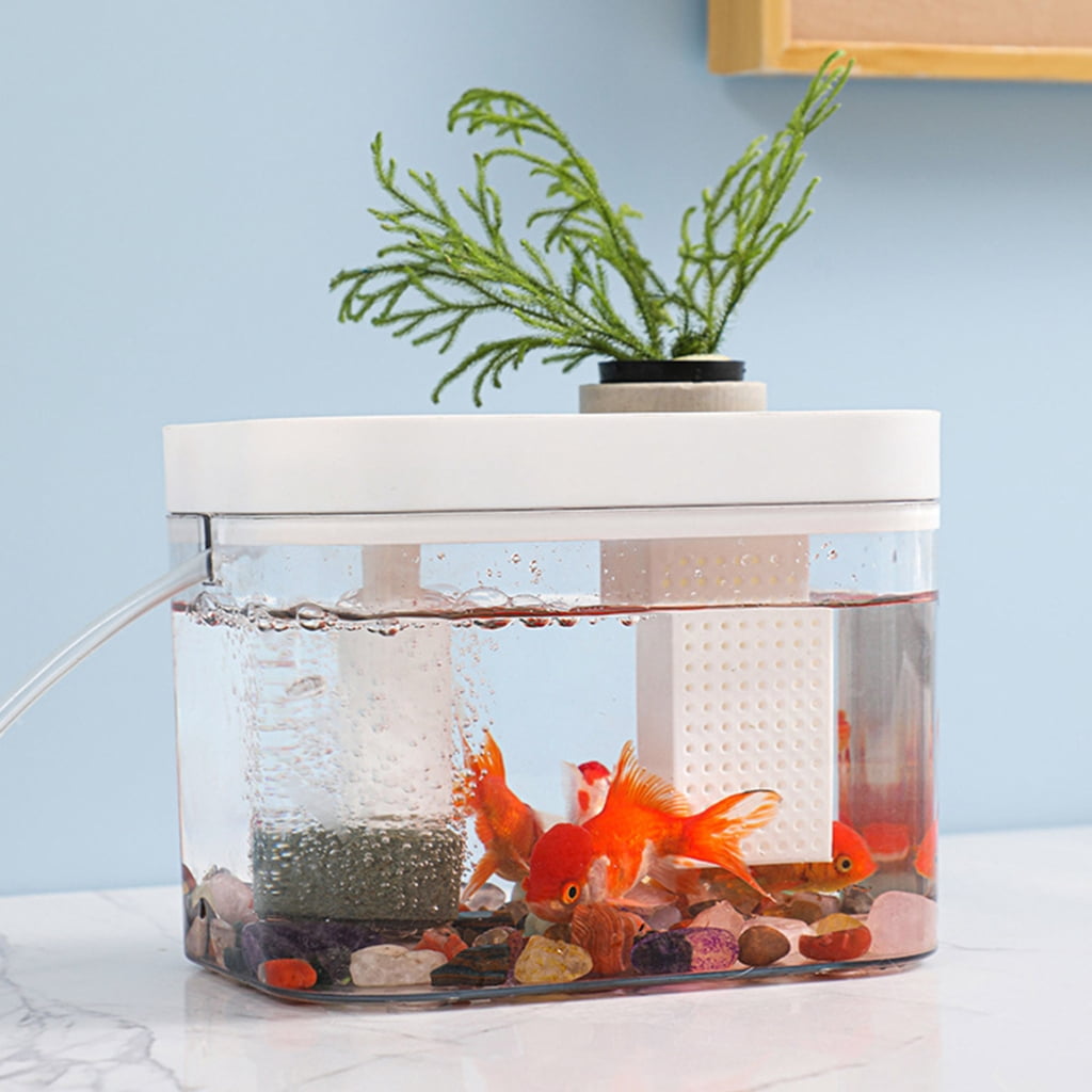 Simple Clear Aquarium With Integrated USB Oxygen Pumps Systems Great For Home and Office Use Easy to Use Fish Bowl