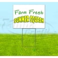 thumbnail image 1 of Farm Fresh Summer Squash (18" x 24") Yard Sign, Includes Metal Step Stake, 1 of 6