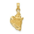 thumbnail image 3 of 14k Yellow Gold Solid Polished 3-D Conch Shell Pendant Necklace 20.7x10.3mm Pendant for Women, 3 of 4