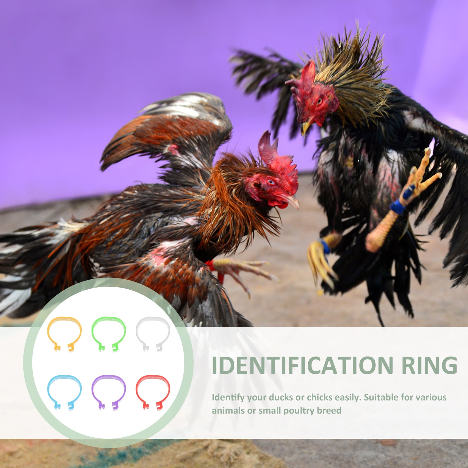 Chicken Thigh Legs 360 Pcs Goose Feet Rings Foot Drumstick Pp