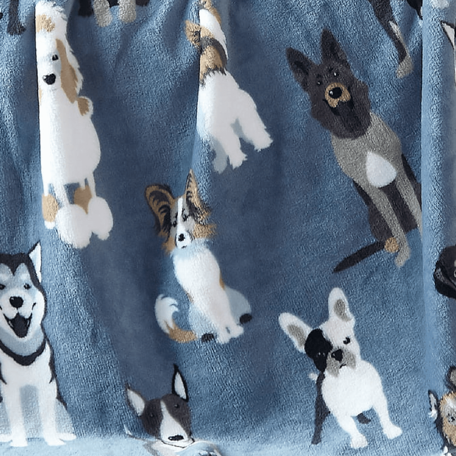 Blue Heeler Dog Art Portrait Print Woven Throw Sherpa Plush Fleece Blanket  D016