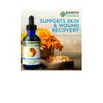 thumbnail image 5 of Earth Elements Organics Gentle Nourishing Organic Calendula Flowers Body Oil Unscented 1 fl oz, 5 of 7