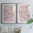 thumbnail image 6 of Wexford Home Rose Marble I Premium Framed Print, 22.5" x 30.5" - Ready to Hang, Silver (Set of 2), 6 of 9