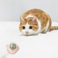 Christmas Clearance Wall Catnip Balls Toy, Rotating Snack Balls