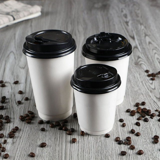 EIGTHTAIL 50PCS 16oz Disposable Coffee Paper Cups Double Walled Insulated Hot/Cold Cups with Lids