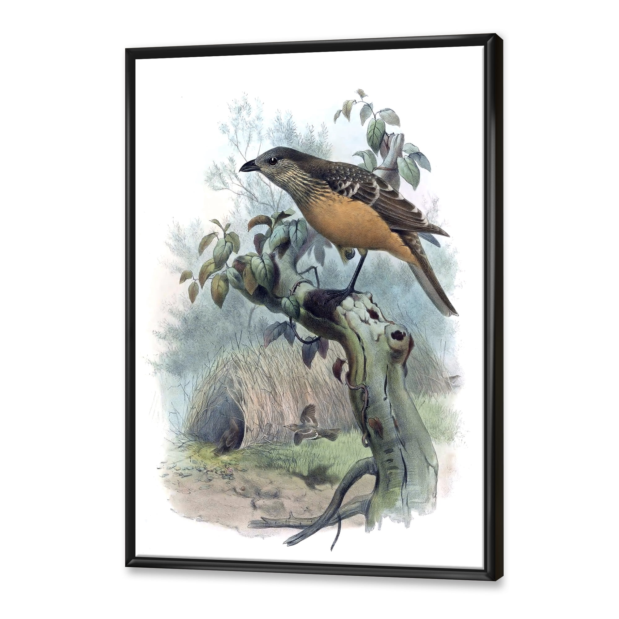 The Paradise Birds on a Tree Branch 16 in x 32 in Framed Painting Canvas Art Print, by Designart