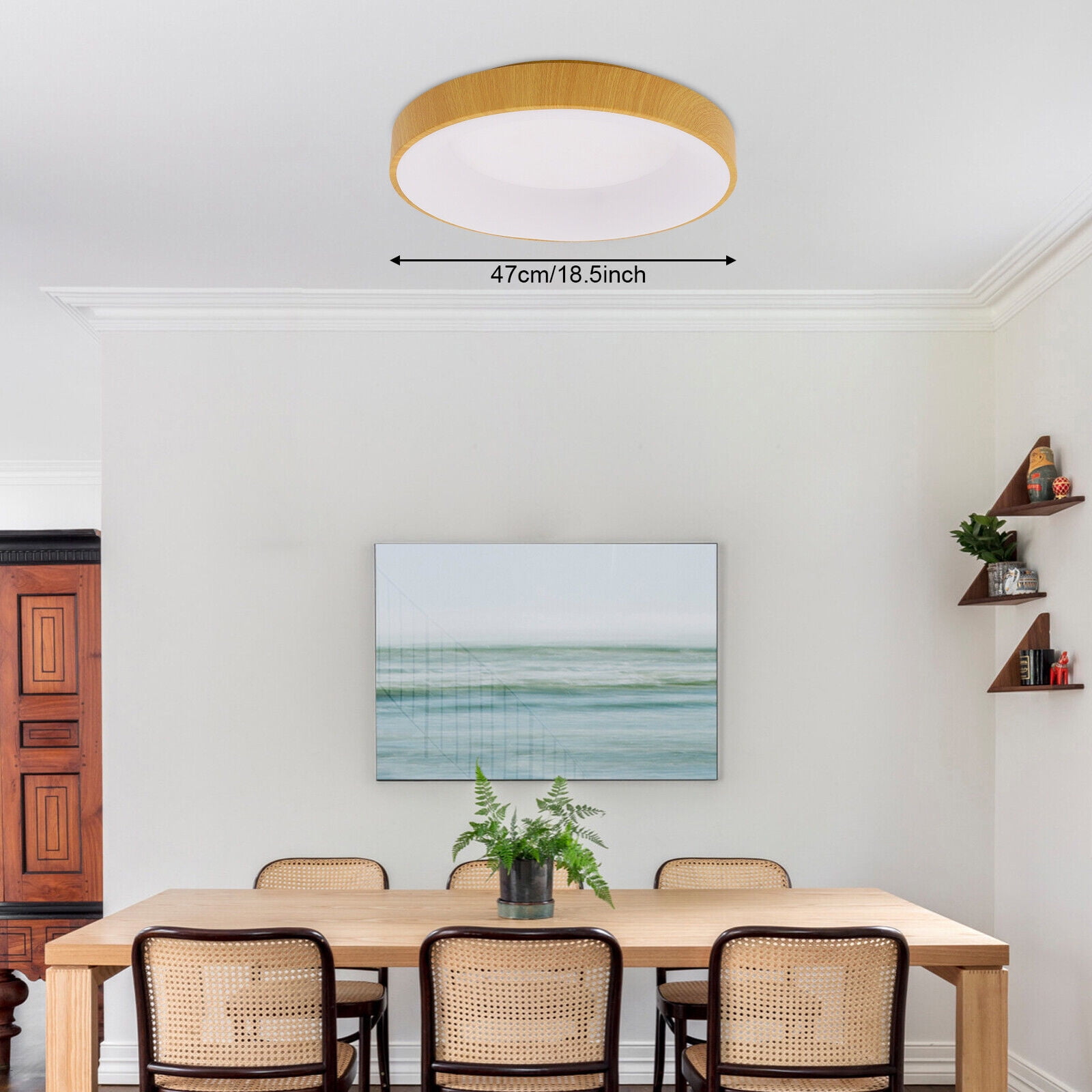 36W Round Ceiling Light Fixture LED Ceiling Light Minimalist Round Ceiling Lamp Dimmable Lighting Fixture