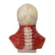 thumbnail image 5 of Xihbxyly Máscara de Calavera de Halloween, Diseño Bioquímico Espeluznante, Material Suave y Duradero, Perfecta para Fiestas y Bailes de Máscaras, Versátil para Halloween, Pascua, Carnaval, Tamaño Adu, 5 of 7
