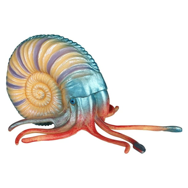 Figuras de caracola Modelos de Concha Acuario Paisajismo Modelo de Animal para Niños Magideal Figuras de caracola