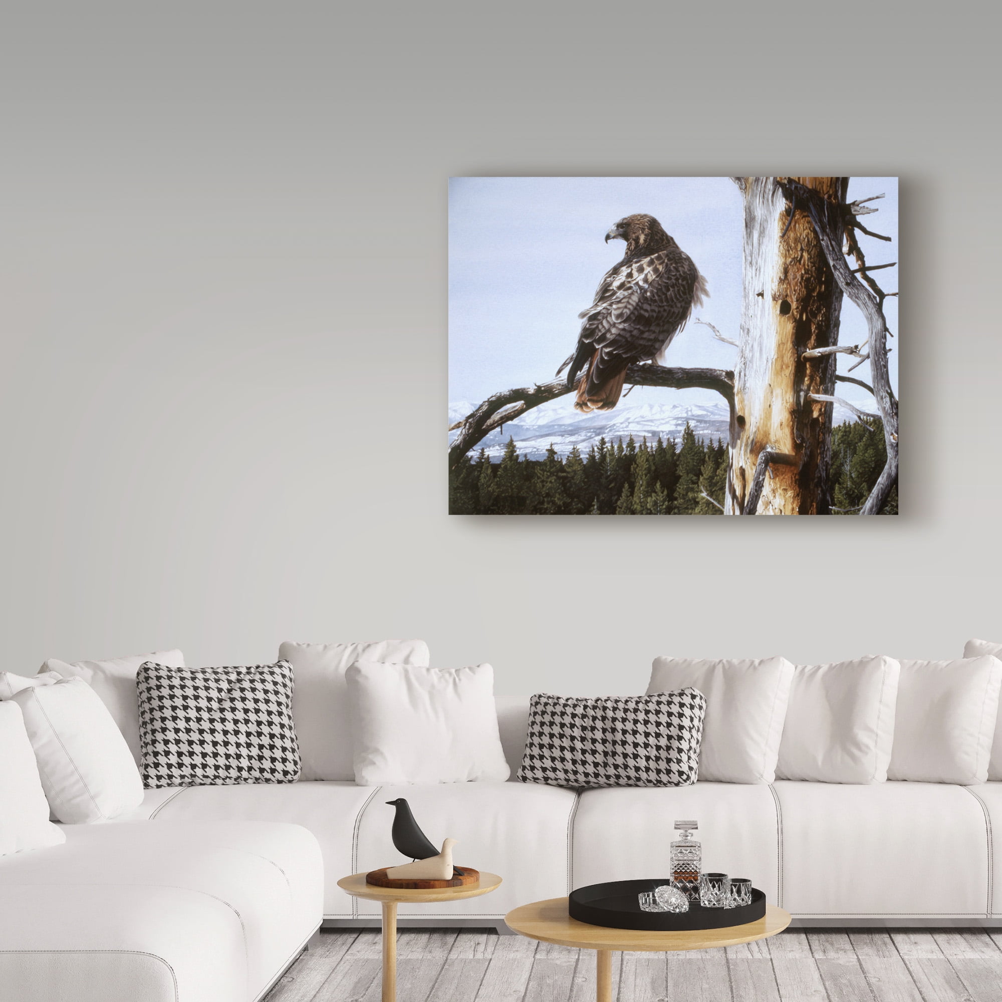 Trademark Fine Art 'Red Tailed Hawk' Canvas Art by Ron Parker