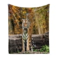 thumbnail image 1 of Safari Soft Flannel Fleece Throw Blanket, Tiger in the Forest Standing and Gazing at the Camera Beast Habitat Picture, Cozy Plush for Indoor and Outdoor Use, 50" x 60", Brown Orange, by Ambesonne, 1 of 6