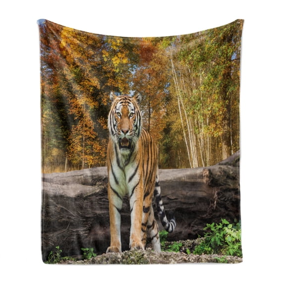 Safari Soft Flannel Fleece Throw Blanket, Tiger in the Forest Standing and Gazing at the Camera Beast Habitat Picture, Cozy Plush for Indoor and Outdoor Use, 50" x 60", Brown Orange, by Ambesonne