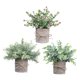 thumbnail image 5 of 3 Piezas de Plantas Falsas Strade Fareast Limited en Maceta Decorativas de Imitación 8 cm x 8 cm, 5 of 8