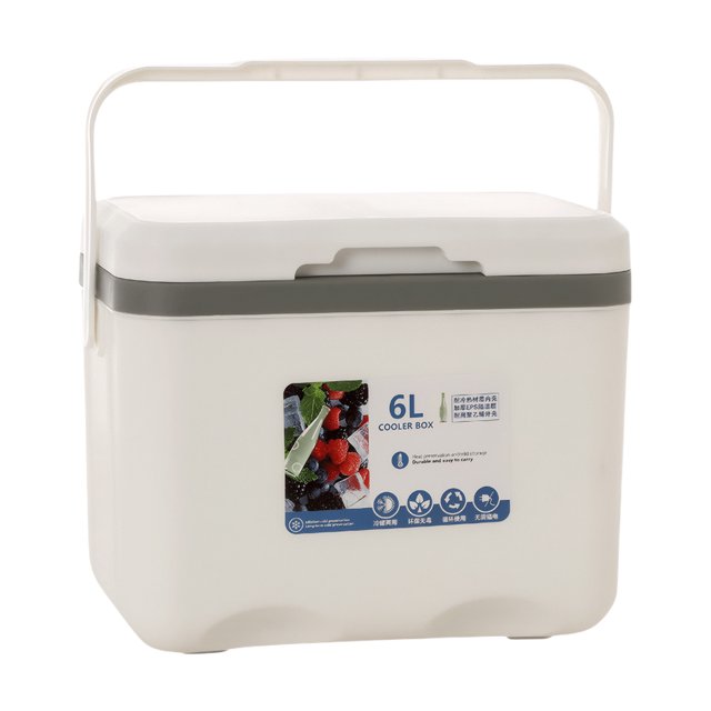 Nevera portátil de 6L, caja de aislamiento para Camping y coche de gran capacidad, Mini nevera para coche