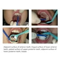 thumbnail image 3 of Sodium Fluoride, Safe Sodium Fluoride Varnish Caries Prevention Desensitizing 0.4ml  For Teeth, 3 of 8